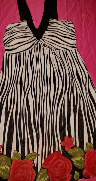 Zebras and Red Roses - Picture 2 of 2